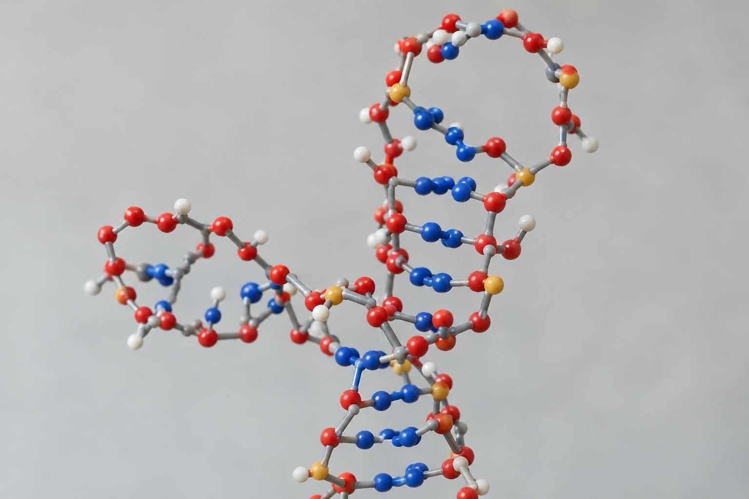 A molecular model of an RNA structure isolated against a plain background.