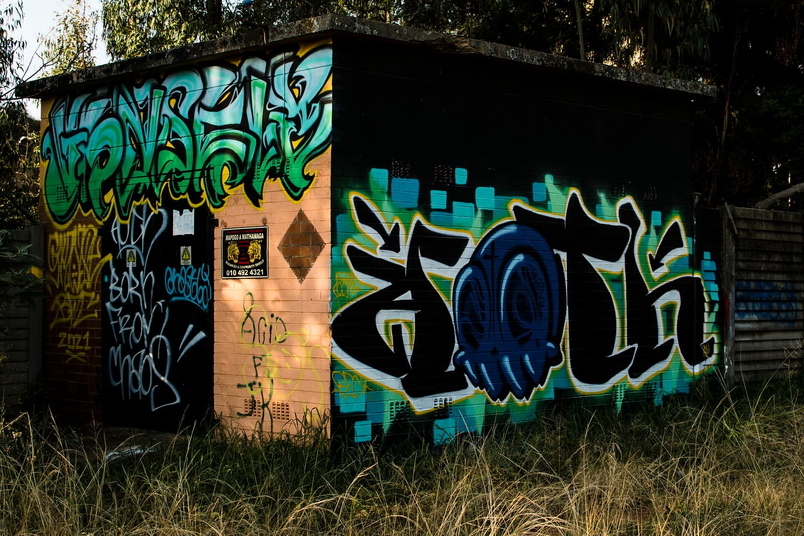 A small electrical substation covered in colorful graffiti stands amid tall grass and trees.
